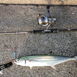 台風最接近の中