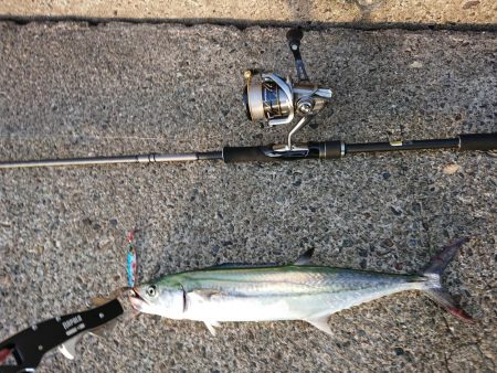 台風最接近の中