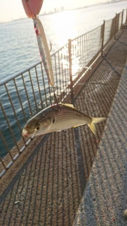 武庫一渡してもらえず…