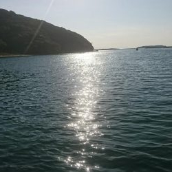 ブルーランナー