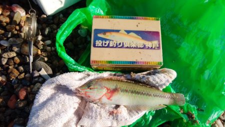 津井海岸でキス狙い