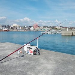 ハゼが入れ食い