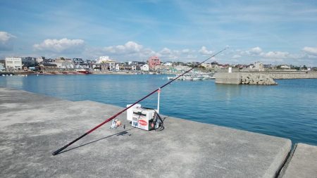 ハゼが入れ食い