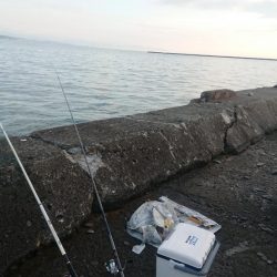 時合いは明け方に