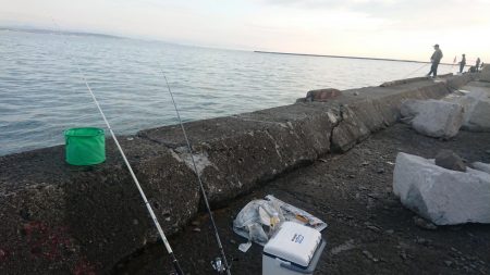 時合いは明け方に