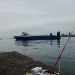 播磨新島に秋ギスの気配