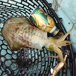 ウネリの中でティップラン