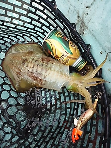 ウネリの中でティップラン