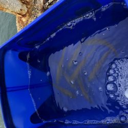 サビキのちノマセ