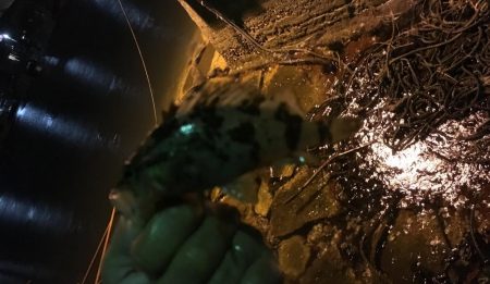 暴風雨ライトゲーム