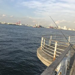 タチウオを求めて^ ^