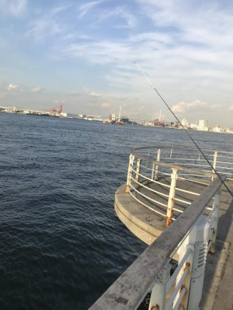 タチウオを求めて^ ^