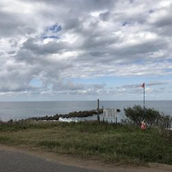 フラットフィッシュ狙い