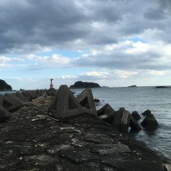 辰巳南導流堤でマゴチ