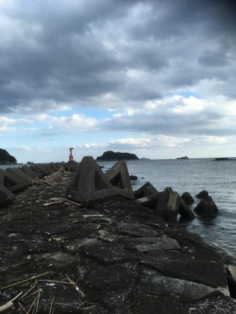 辰巳南導流堤でマゴチ