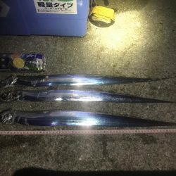 Tオヤジの青物退治物語