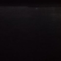 台風明けアオリイカ