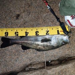 ベイトたくさんでワクワク