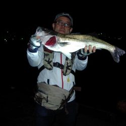 ｻｰﾍﾞﾘﾝｸﾞ