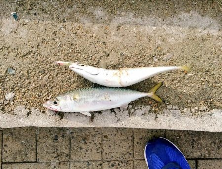 ラトル音で魅せろ!笑 鯖ゲーム