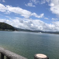 ライトショアジギング