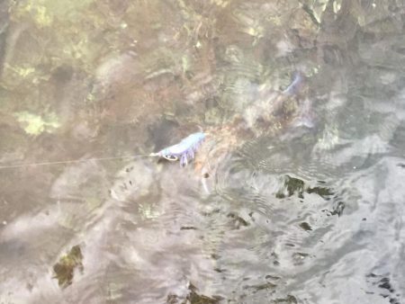 出張フィッシング　パート２