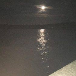 新潟　出張フィッシィング！