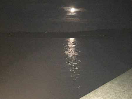 新潟　出張フィッシィング！