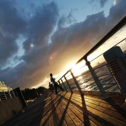 南港タチウオポツポツ