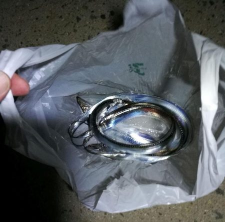 ３日目の南港カモメ大橋 釣行 （昨晩は渋め…