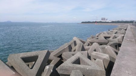 メタルジグでサワラ80cm!