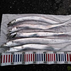 根掛かり王の逆襲