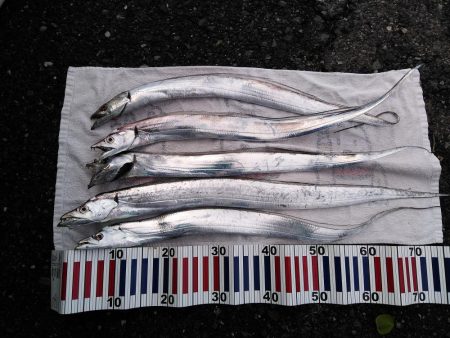 根掛かり王の逆襲