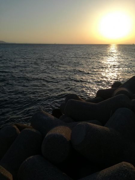 タチウオしぶい