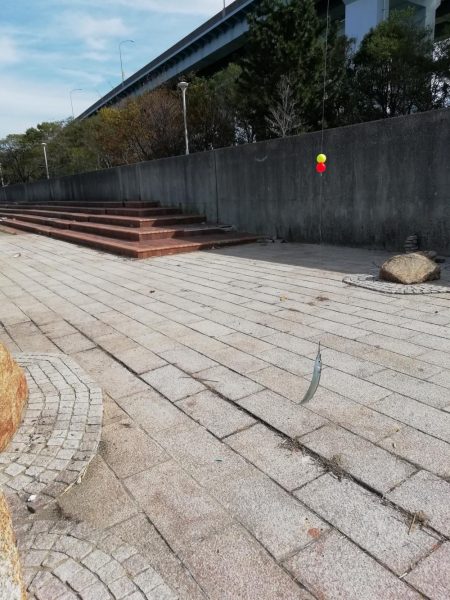 サヨリ食べたくて‼️