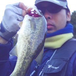 寒くなってきていますが…