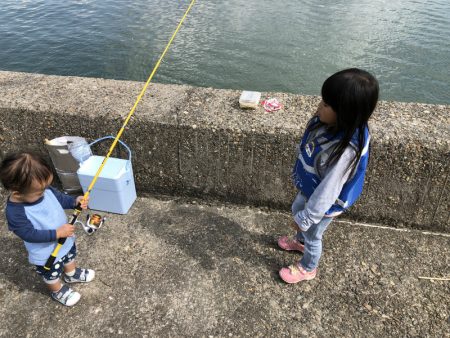 ハゼ釣り 2箇所の釣果