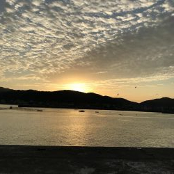 飽きない程度にあたりあり