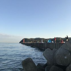 去年の経験が活きた釣行