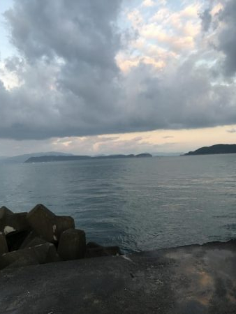 戦略通りにゲットできた