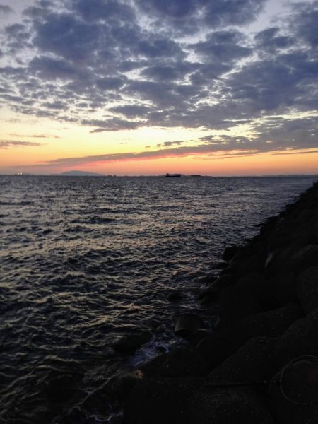 ツバス？ハマチ？