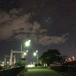 西宮跳ね橋 65cm