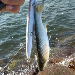 人多すぎ！マナーが…！