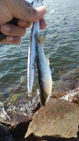 人多すぎ！マナーが…！