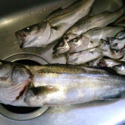 通った会あったなー