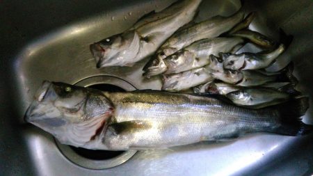 通った会あったなー