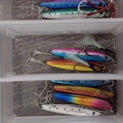 ショアジギング