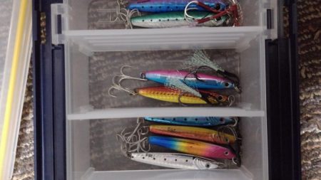 ショアジギング