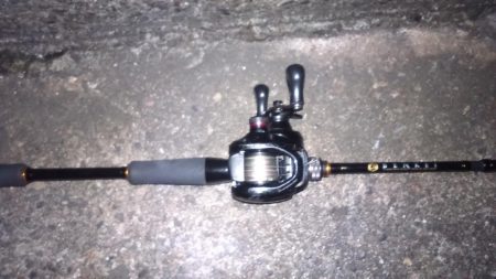 仕事終わりに太刀魚調査行って来ました。