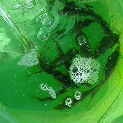 サビキ後うき釣り